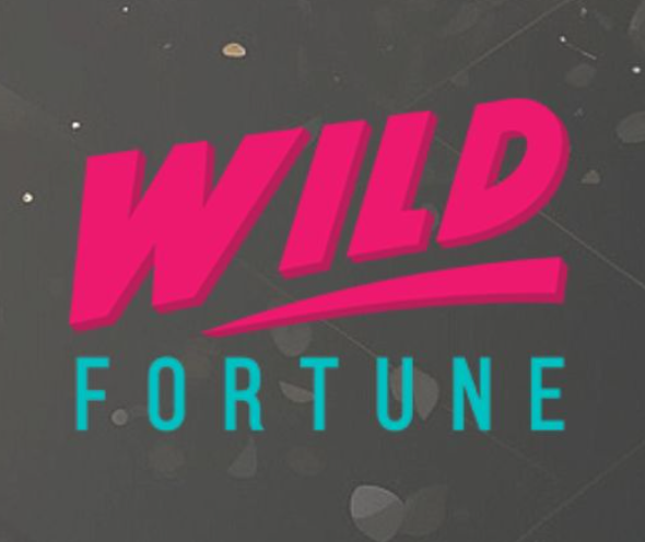 Wild Fortune Casino – Recenzja i Bonusy